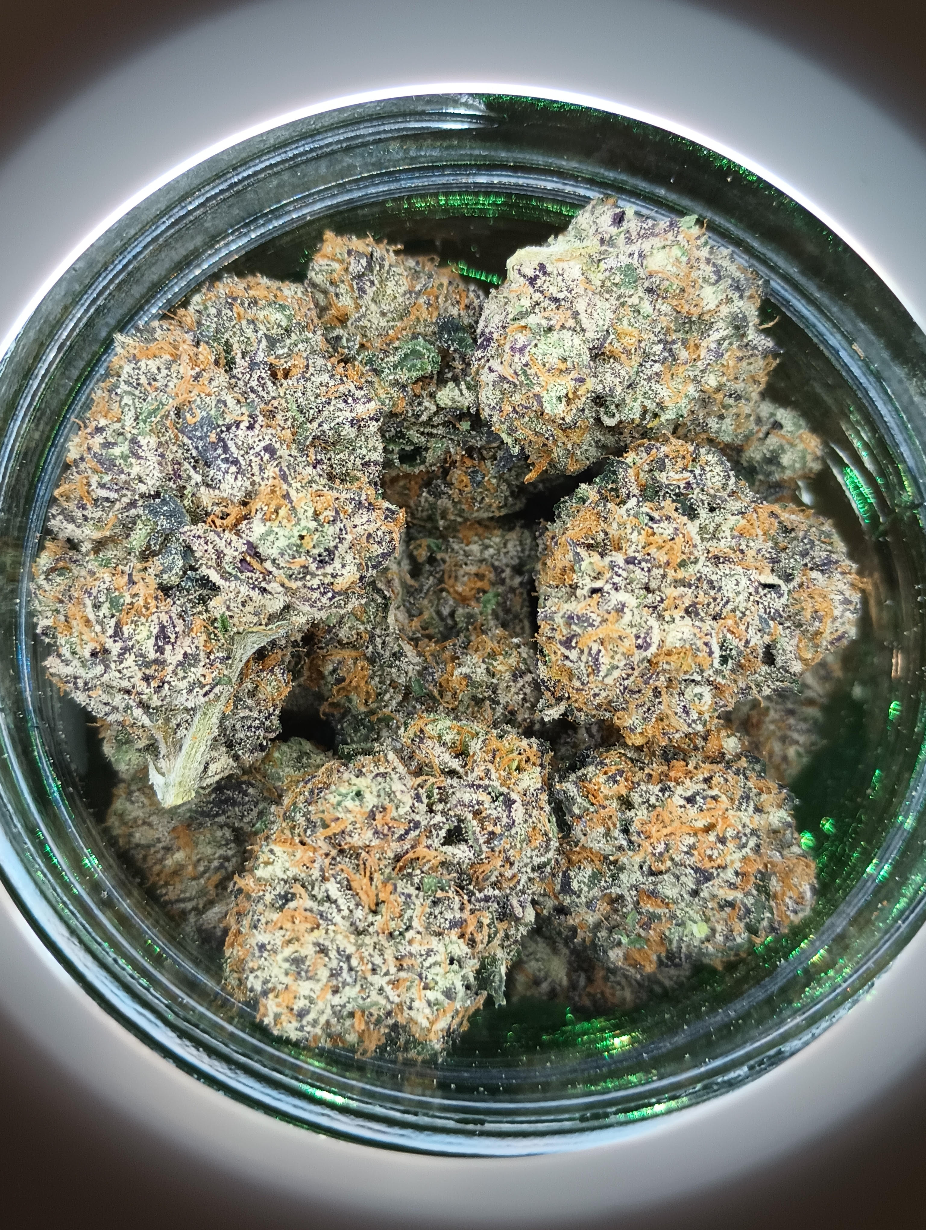 Herbal Dynamics: Ice Cream Cake