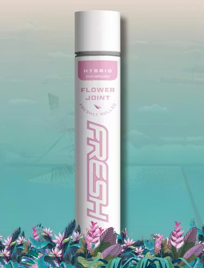 Fresh | B-Witched | Pre-Roll