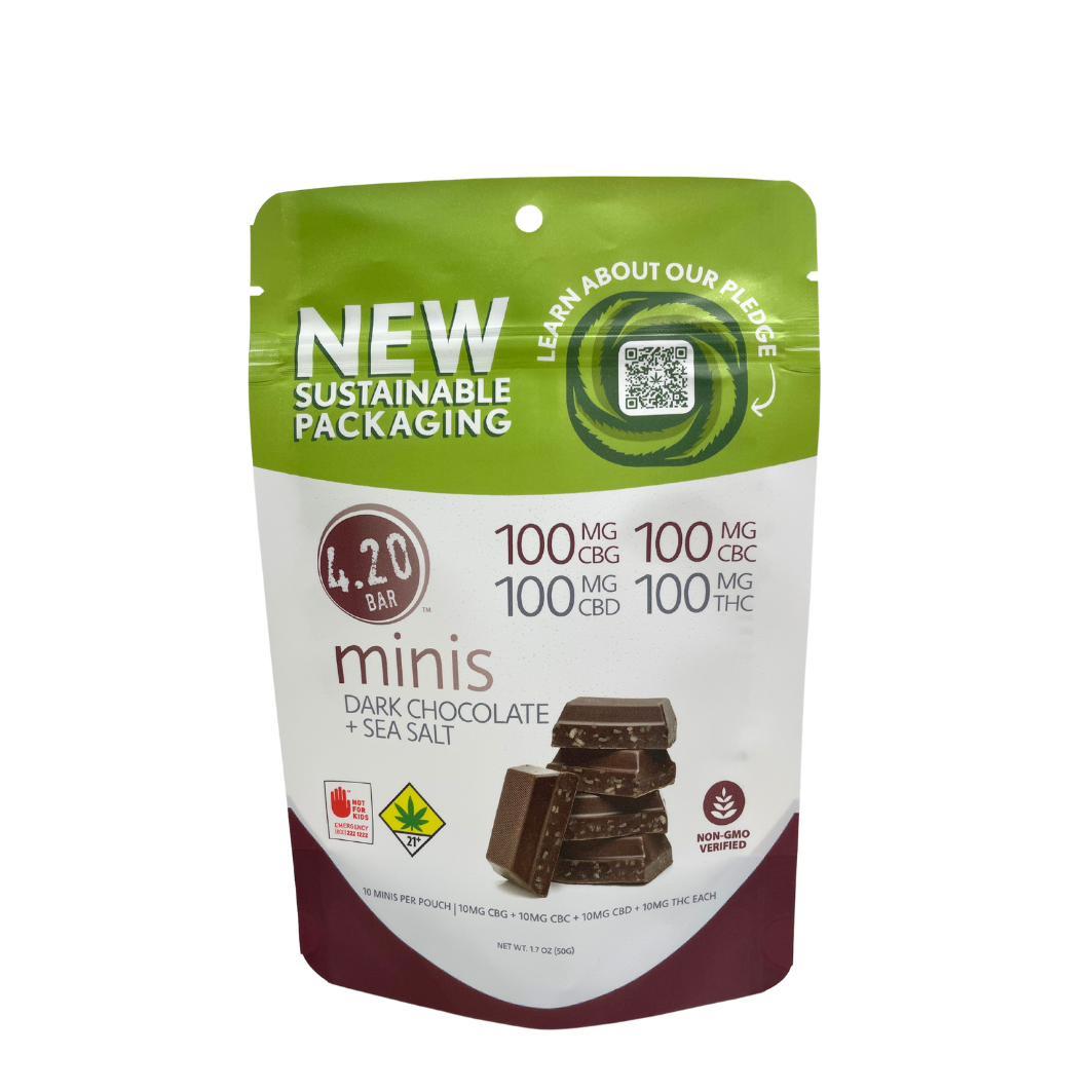 1:1:1:1 Dark Chocolate Sea Salt Minis | 10-pack