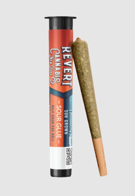 Revert | Sour Glue | Pre Roll