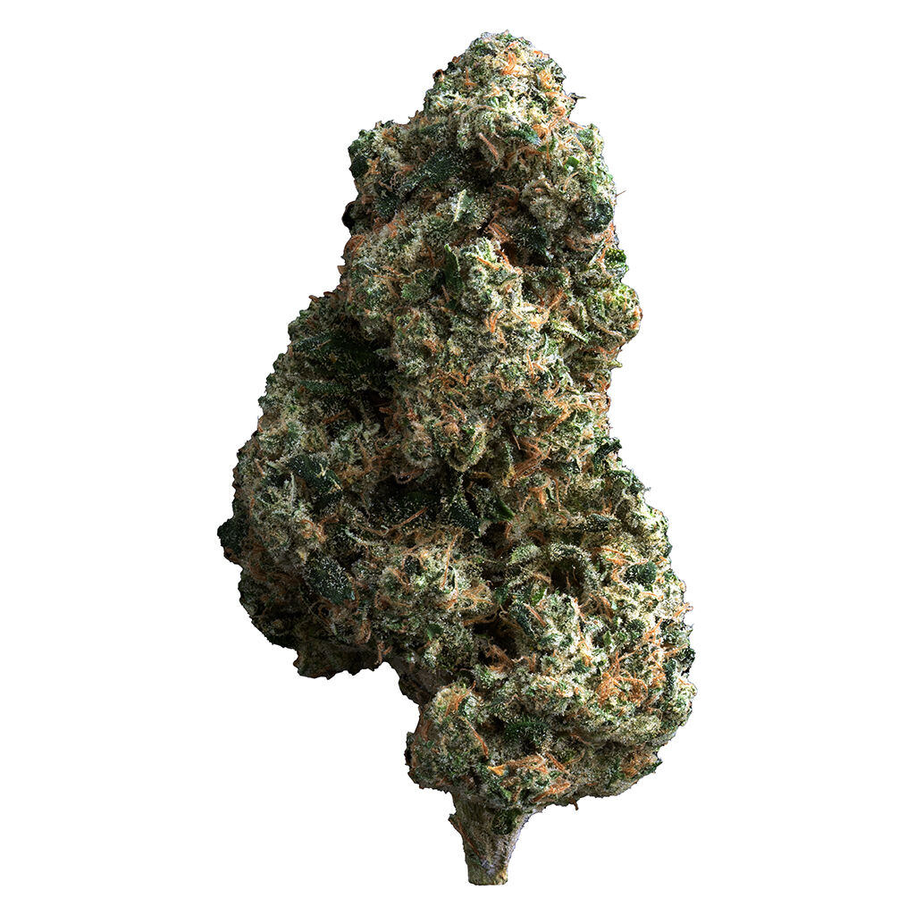 THE LOUD PLUG - Cherry Diesel