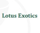Lotus Exotics | HOOD CANDYZ
