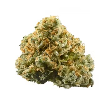Bali 440 | 28g