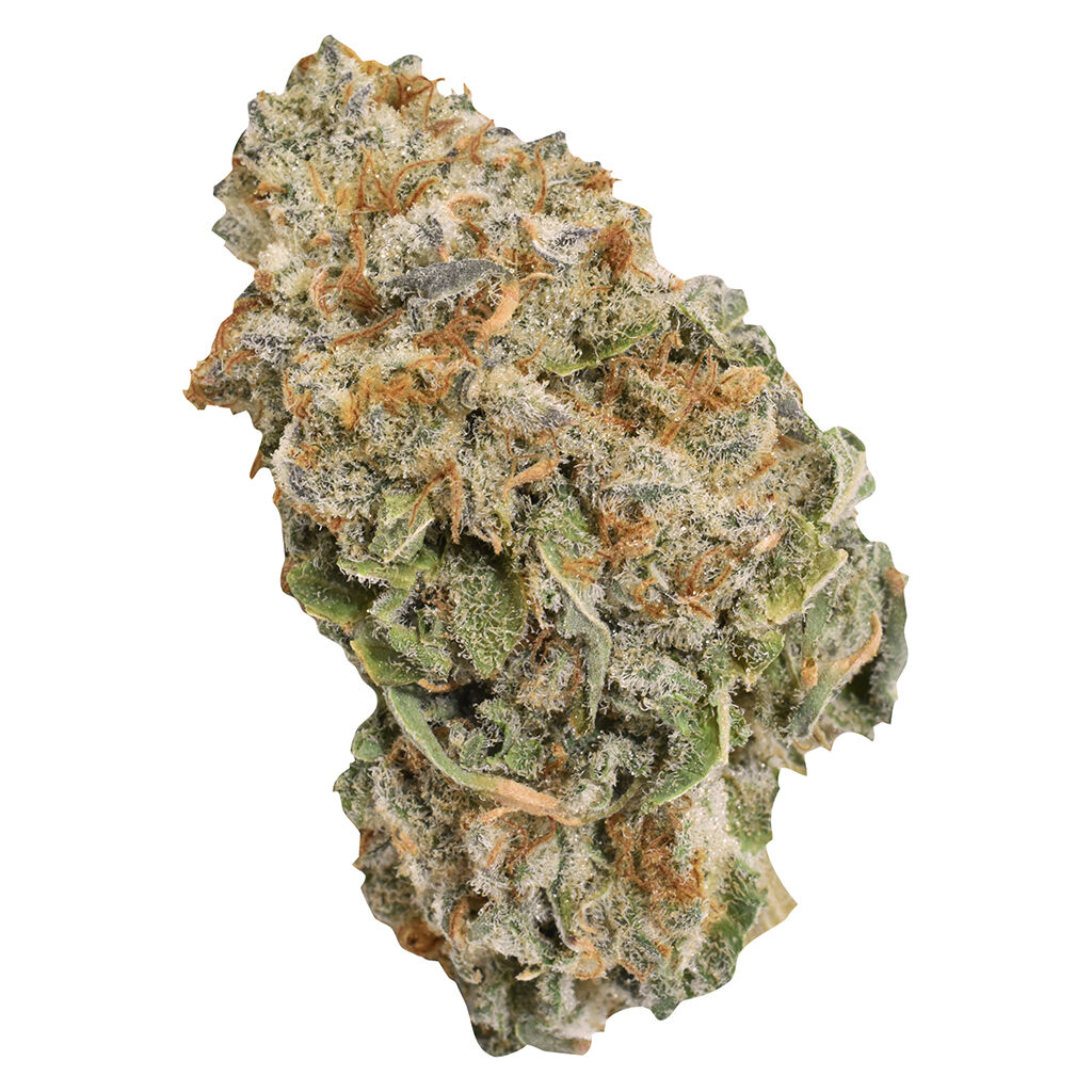 Ripped - Indica (Snow Panda) - 2.91% TERPS!!