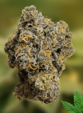 Gary Payton | Hybrid | Bulk Flower | Bees Knees