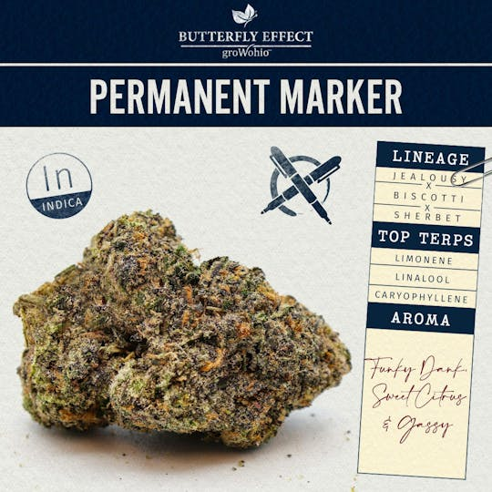 Permanent Marker 14.15g Indica