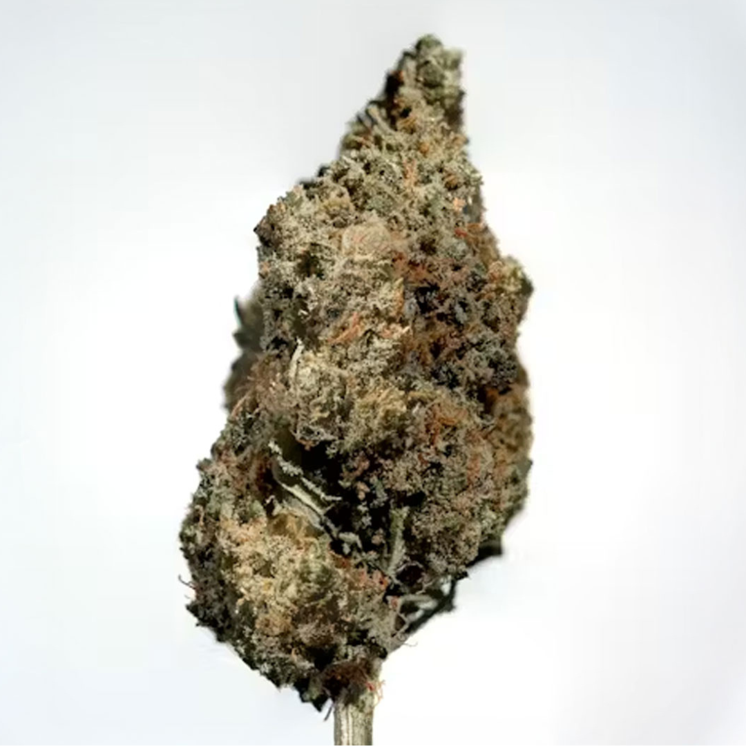 Durban Margy