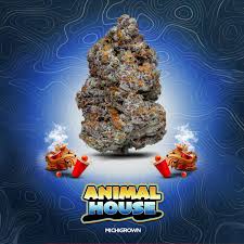 Michigrown | Animal House Pre-Roll