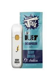 Wanna Jive | Berry Breath | Live Resin | Duet | AIO | 1g by WannaJive - vapes cannabis product