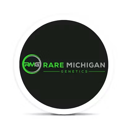 RMG Gack OG Pre-Roll 1.0g