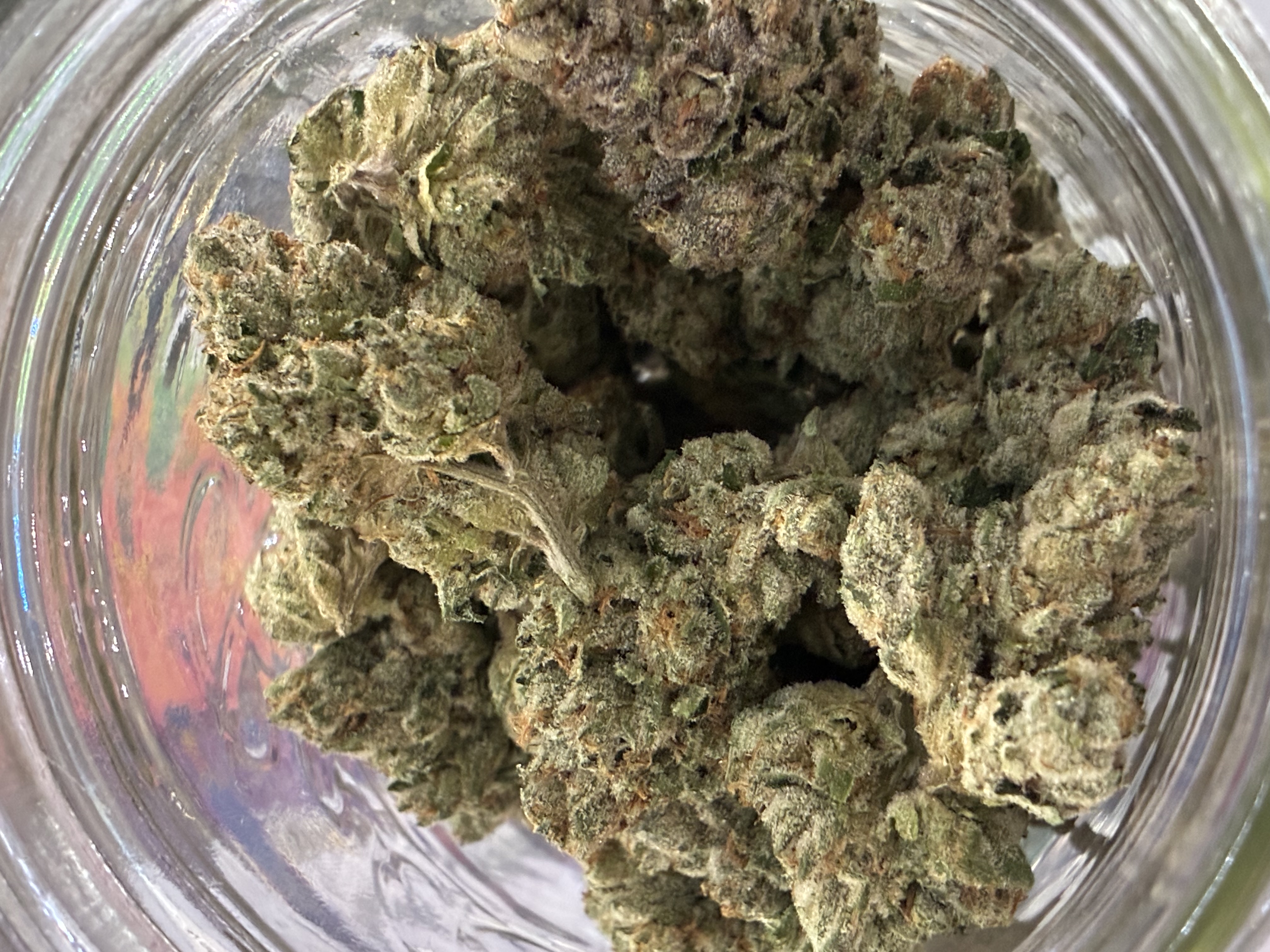 Echo Electuary: Gastopia - 1/8oz
