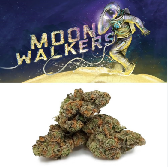 Cookies - Moonwalkers - Bud