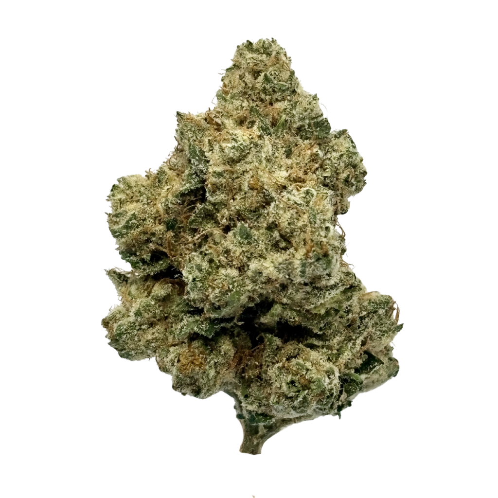 CARBON | LEMON G BREATH | BULK FLOWER