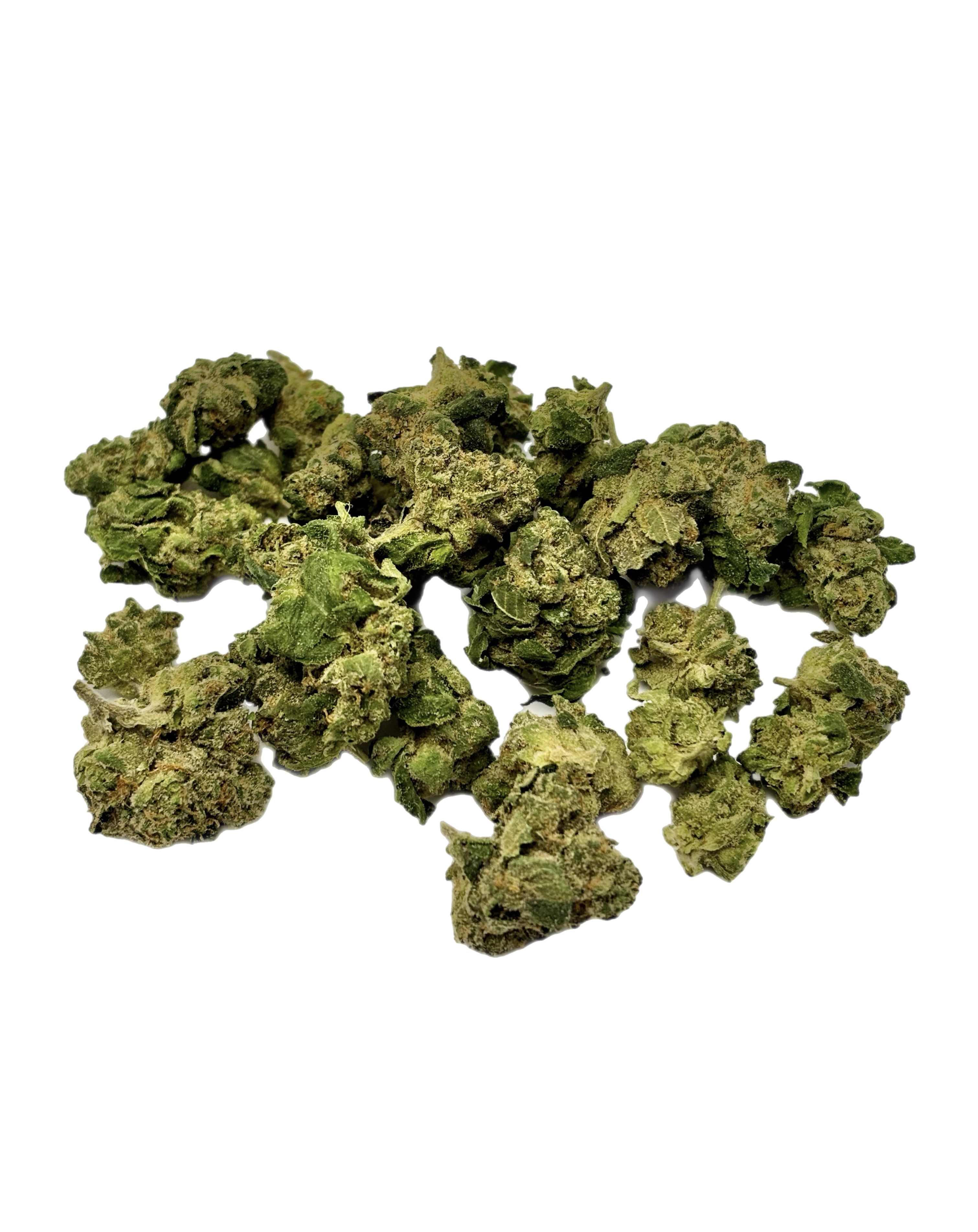 1160 TREAT STREET | PERMANENT RUNTZ | A | BULK FLOWER