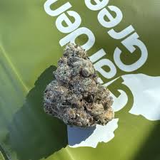 Ice Wookie Big Buds