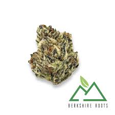 Berkshire Roots | Orange Chemeleon | 3.5g