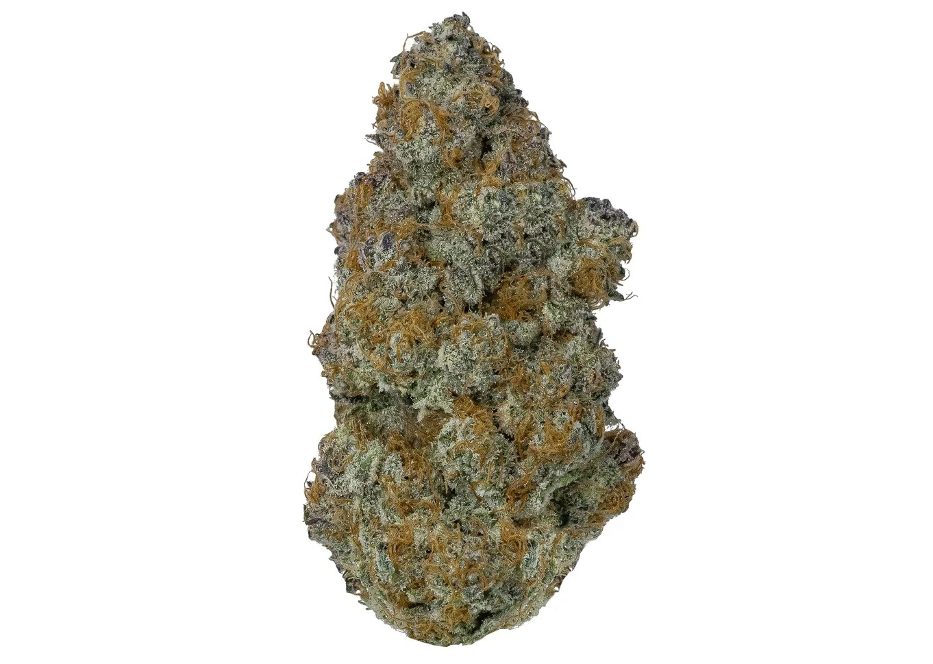 GMO | 3.5g