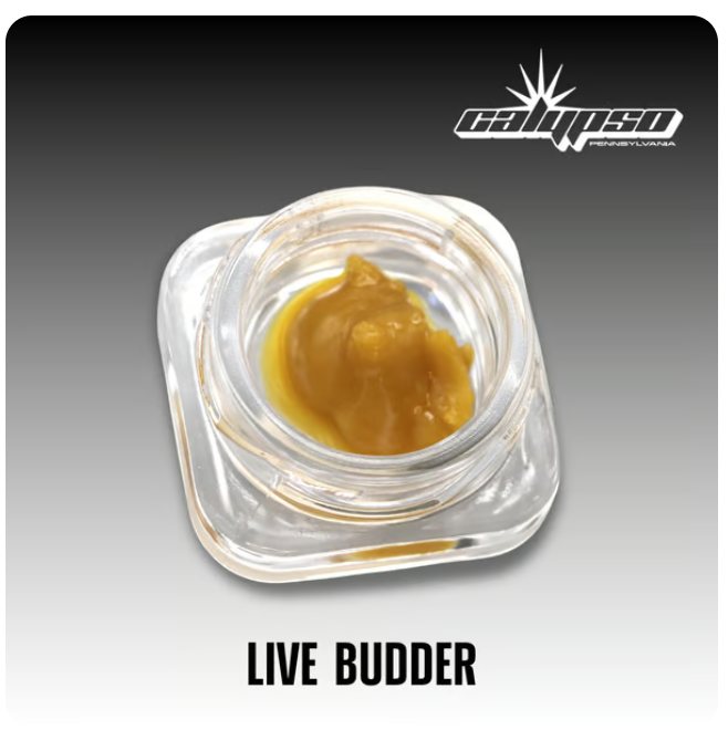 Bubba Mntz Live Budder | 2g
