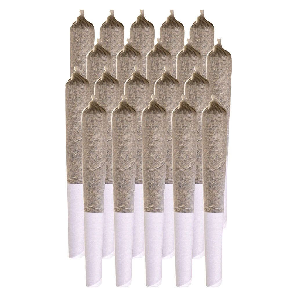 Station House - Blue Dream Pre-Rolls - 10x0.5g