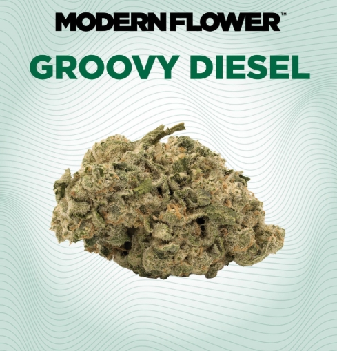 Prepack Groovy Diesel