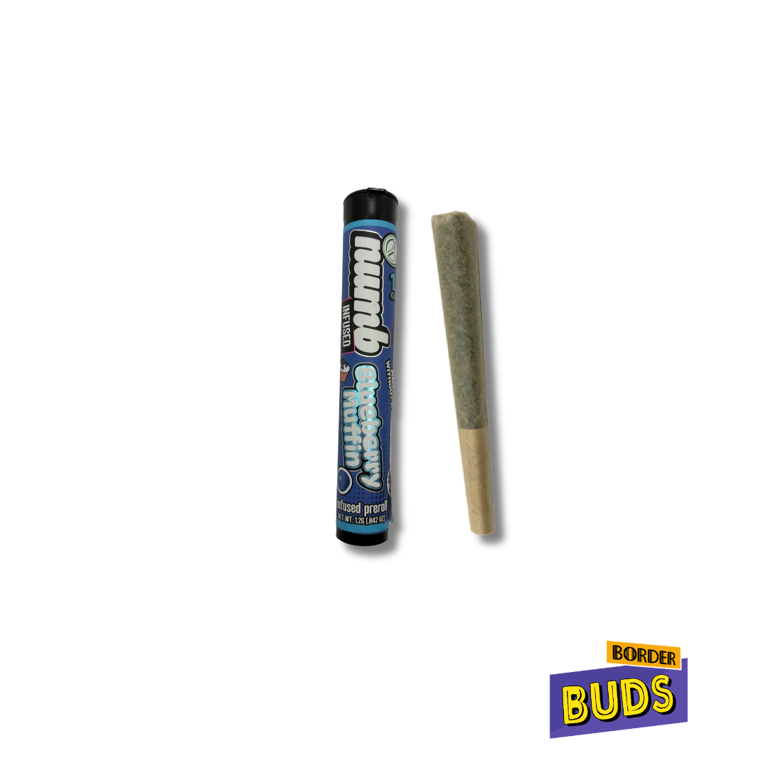Blueberry Muffin | Numb | 1.2g | Infused Pre-Roll
