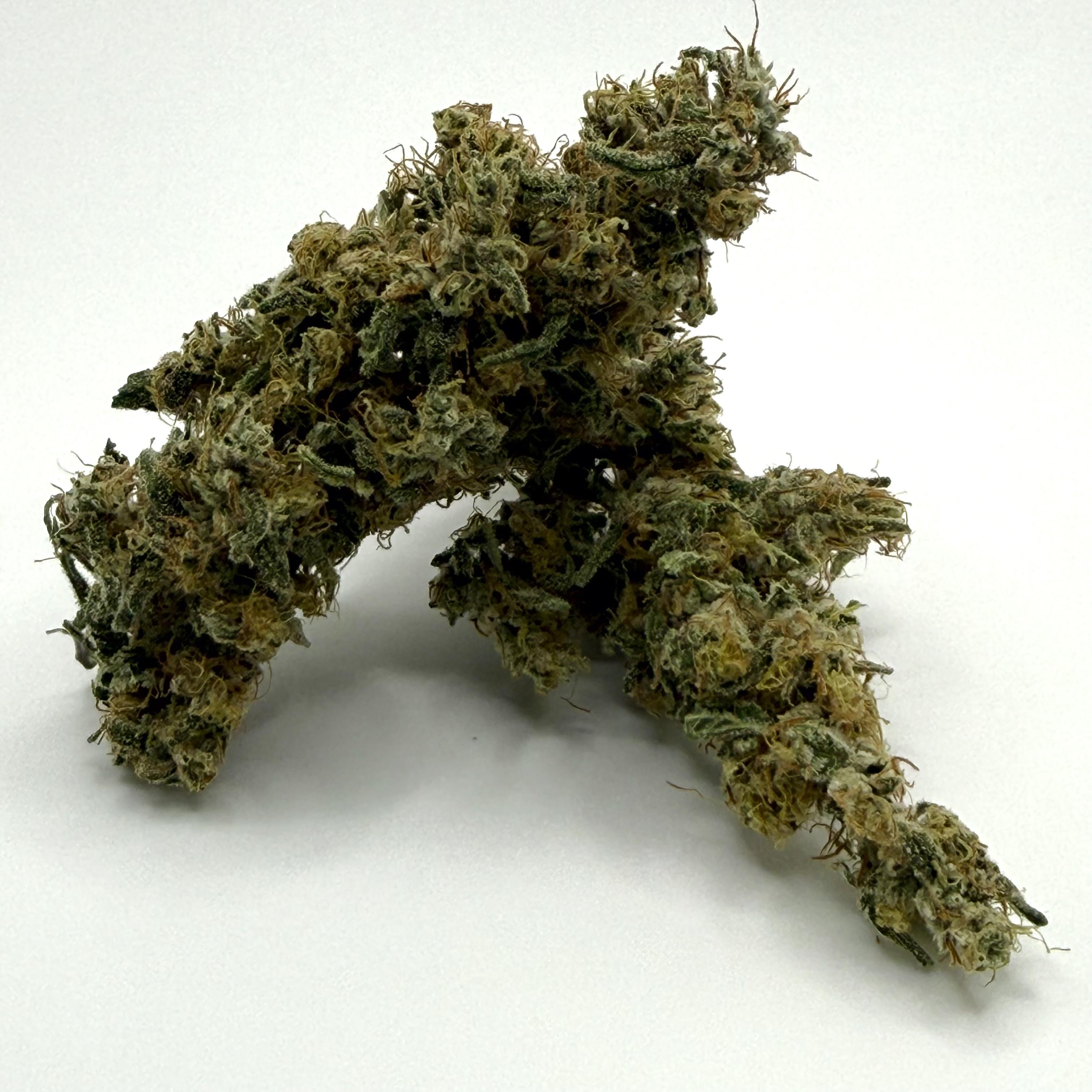 Panama Wreck | Flower