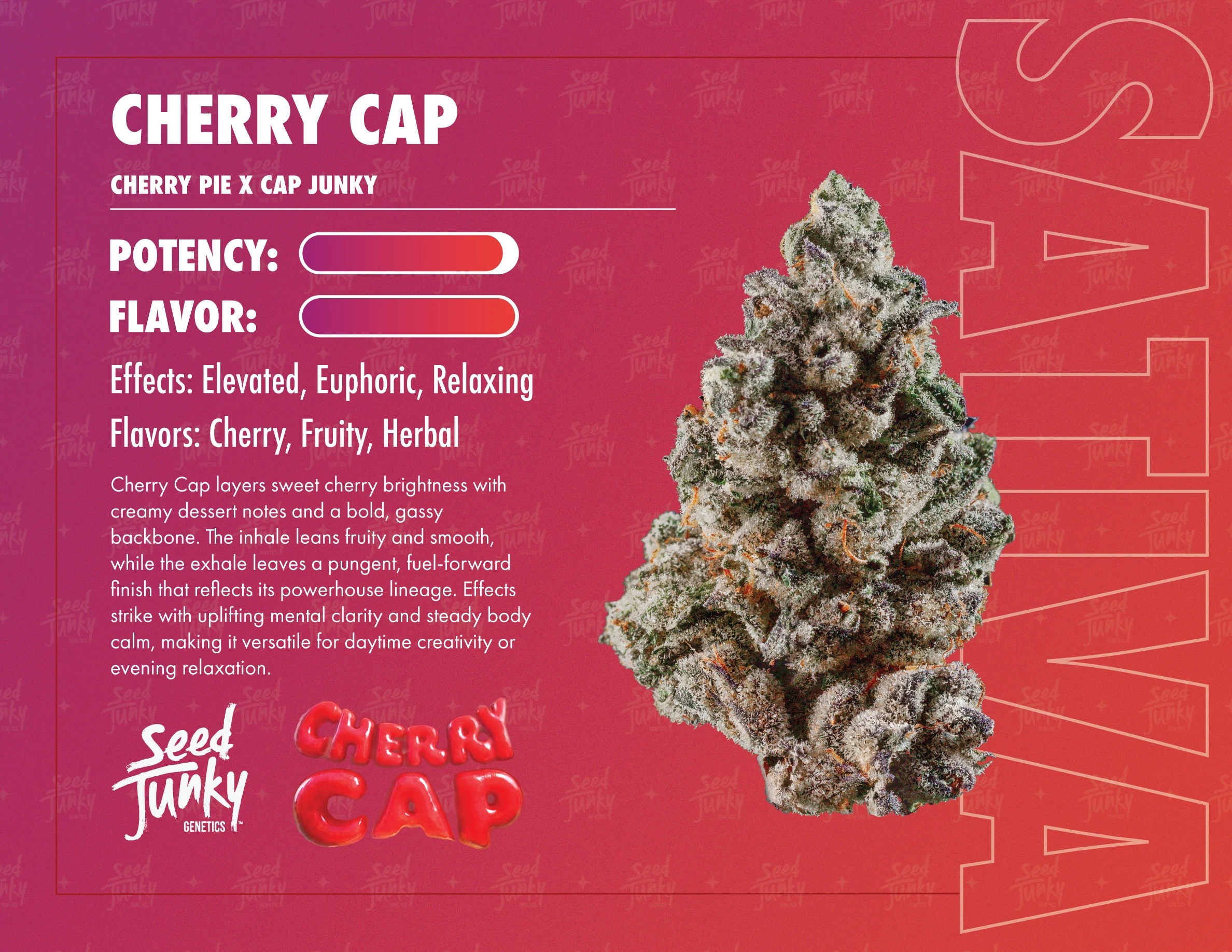 SEED JUNKY | CHERRY CAP