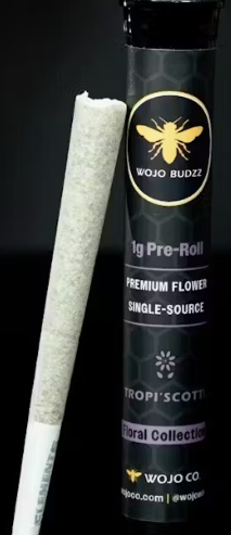 Strawberry Candy 1g Infused Pre Roll