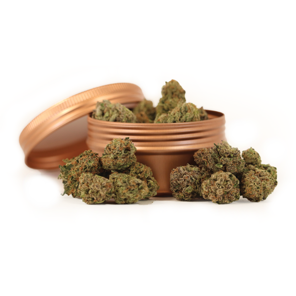 Kosher Kush Exotic