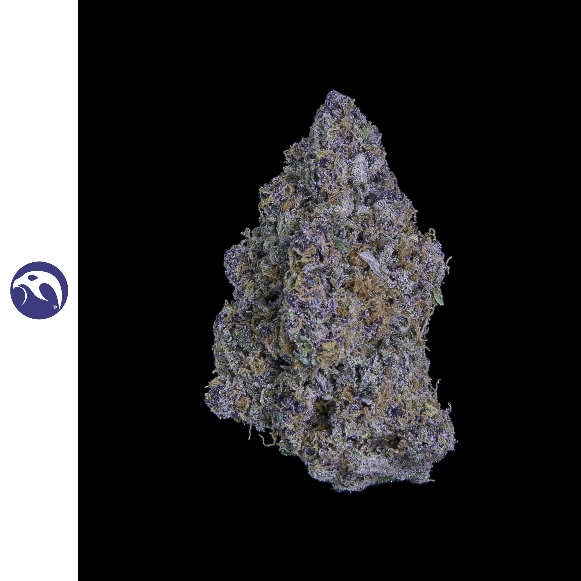 Royal Grape (DOH)