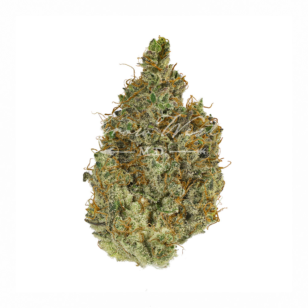 Neapolitan Space Cream | Gold | Trimmed Flower