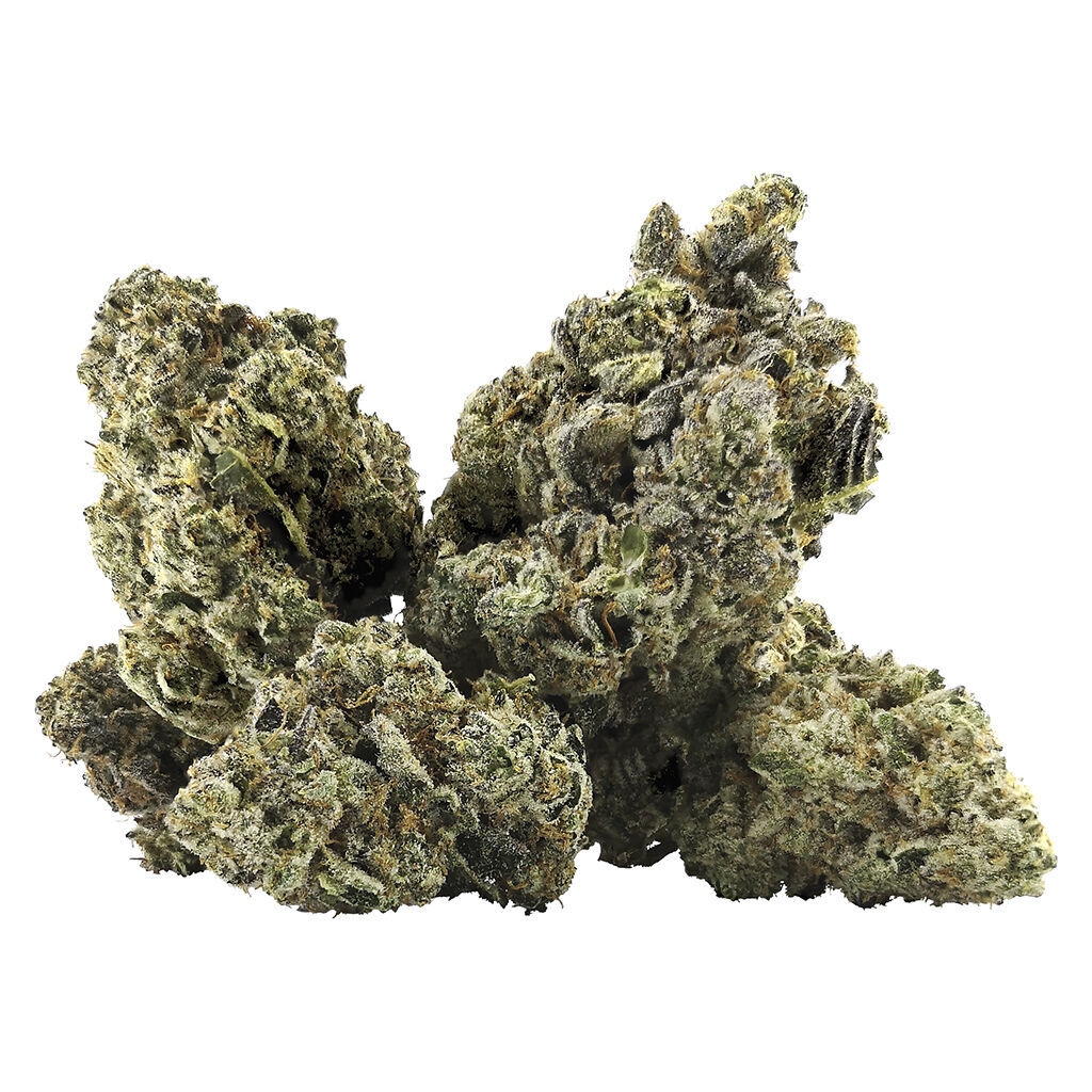 DEALR - Galactica OG (Jedi Kush x Saturn OG) - Indica - 2.71% Terps!!