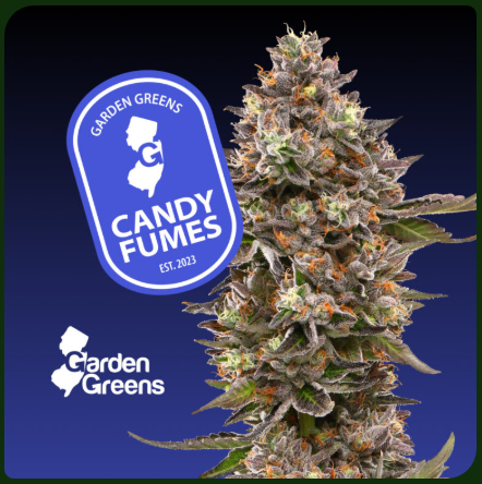 Candy Fumes | Flower