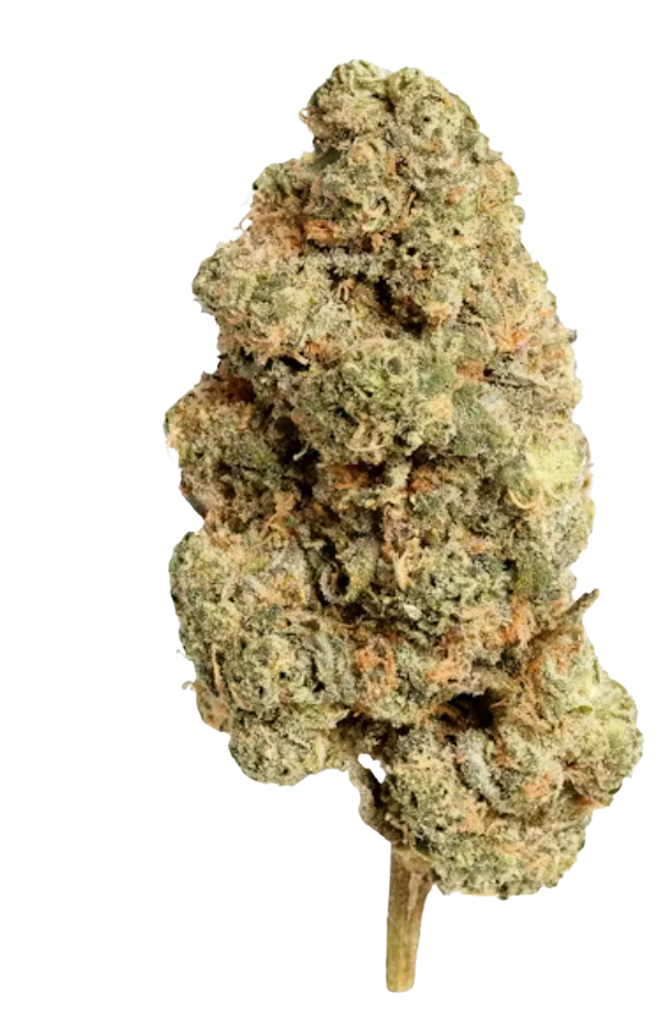 Arancello | 28g