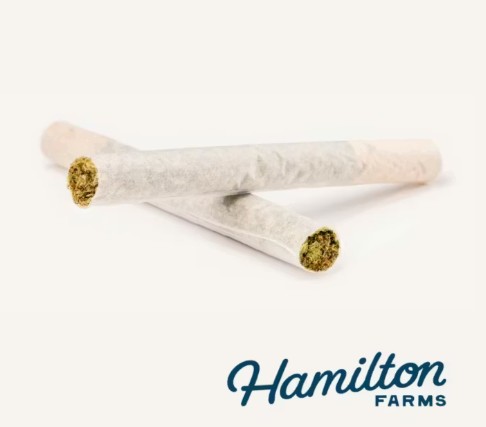 Hamilton Farms - Apple Jelly - 1g 2Pck Pre-Rolls