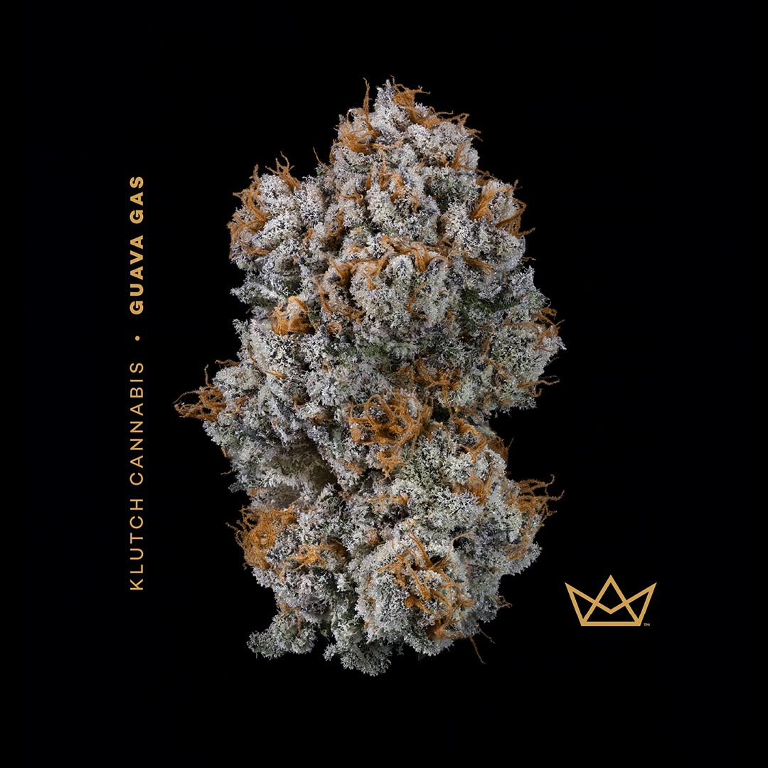 Guava Gas (Buds) | 3.54g | Indica