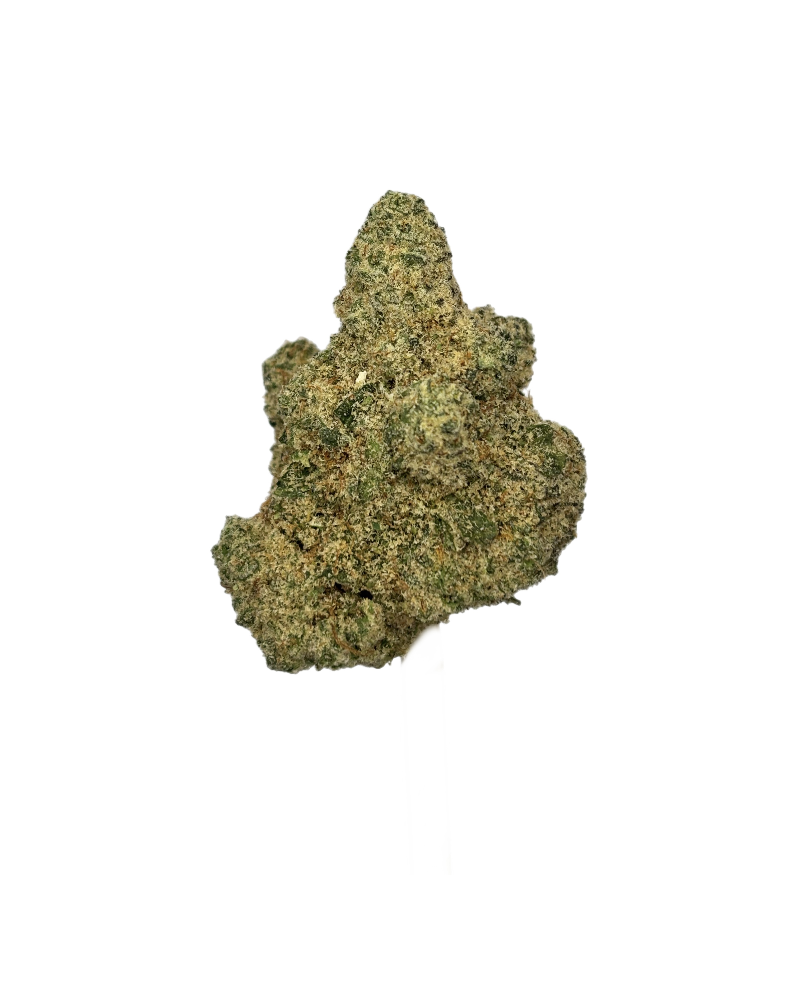 DNK | FROSTED ALIEN | BULK FLOWER