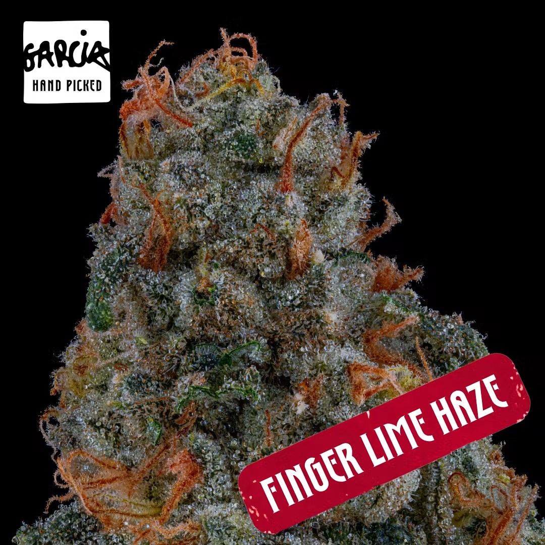 Finger Lime Haze | 3.5g product photo