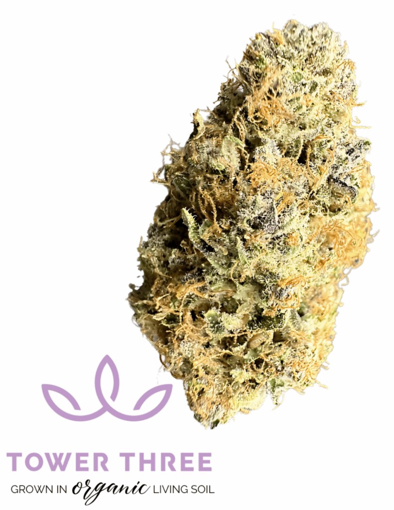 Raspberry Mango Tk