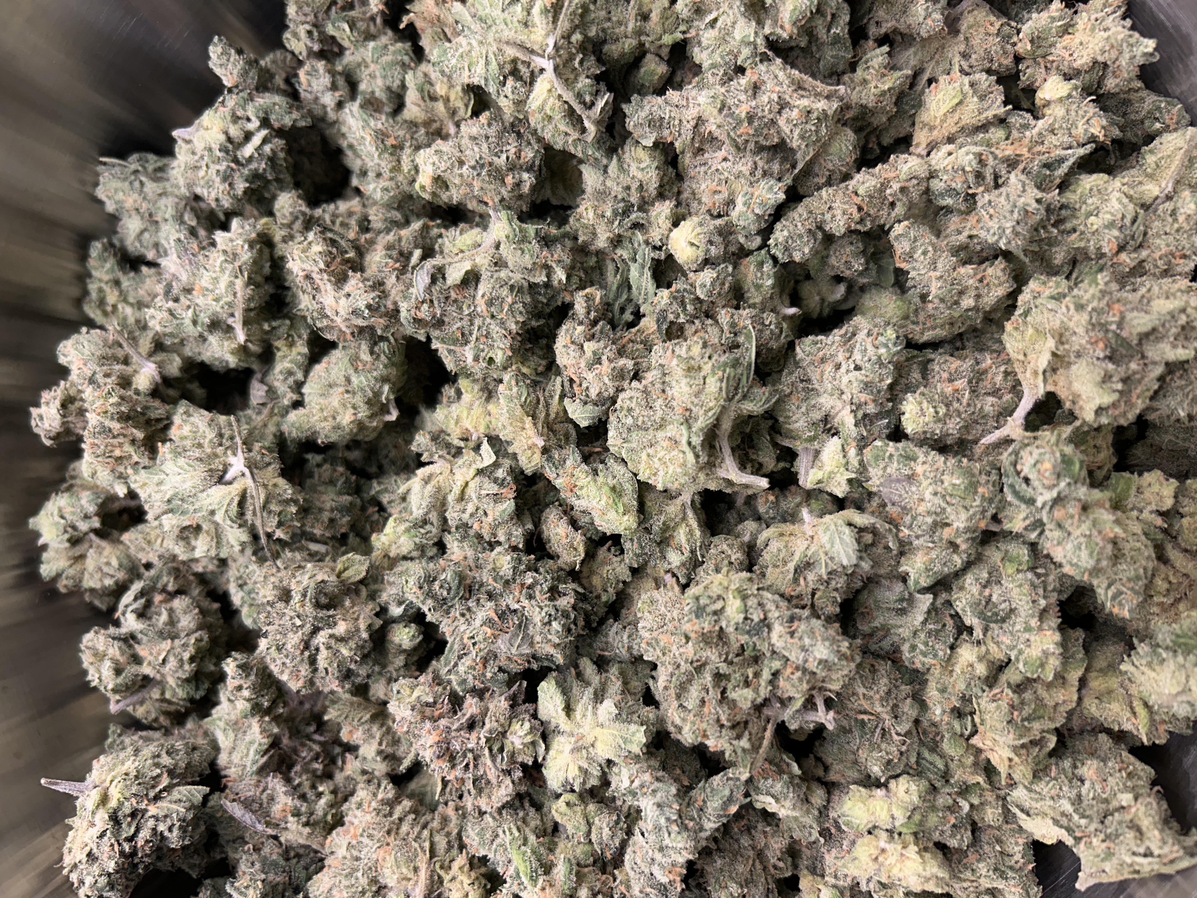 Blue Lemonade Piff | Buds | 1.6%+ Terps