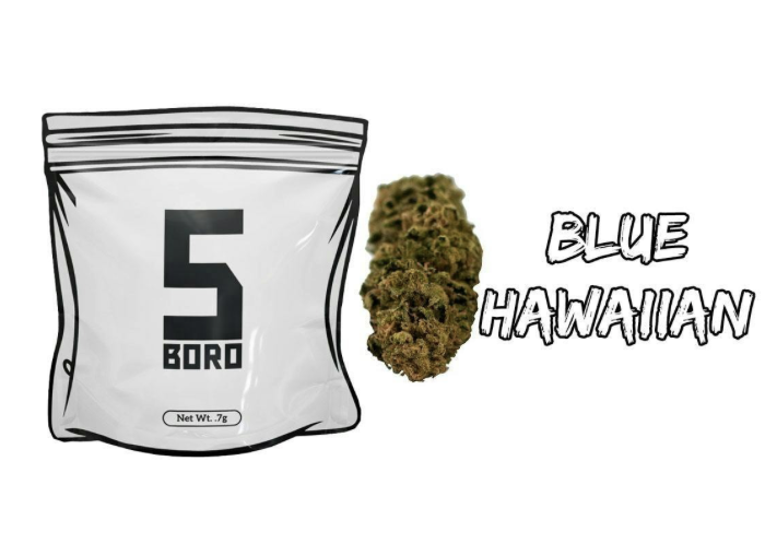 Boro Flower Blue Hawaiian .7g
