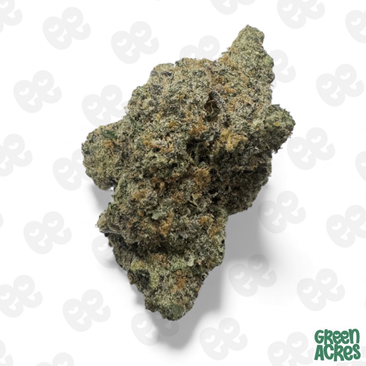 (H) GLO Farm: Dragon Fruit (H)
