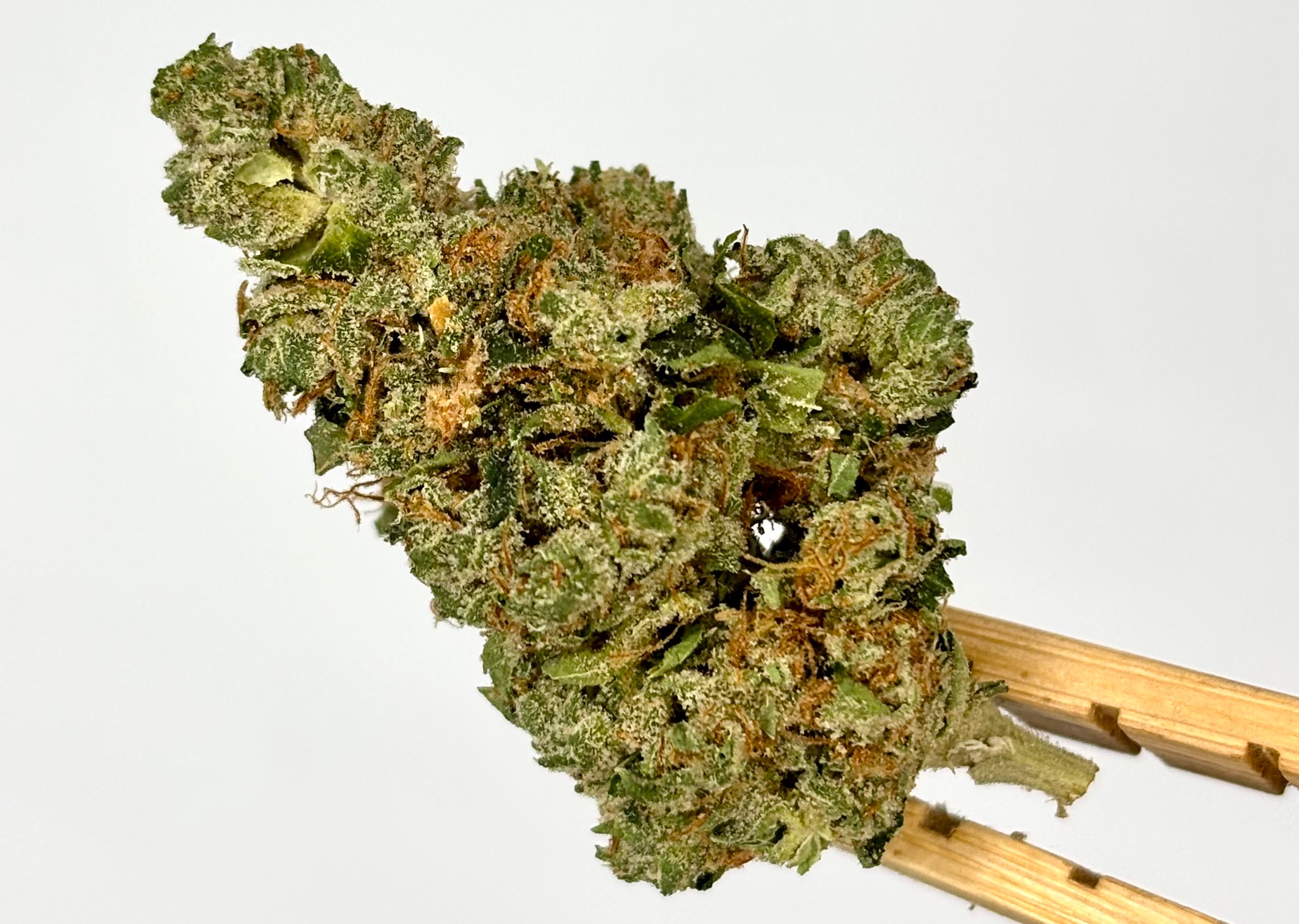 Insano Pharms | Scott's OG | Bulk Flower | Purple Tier
