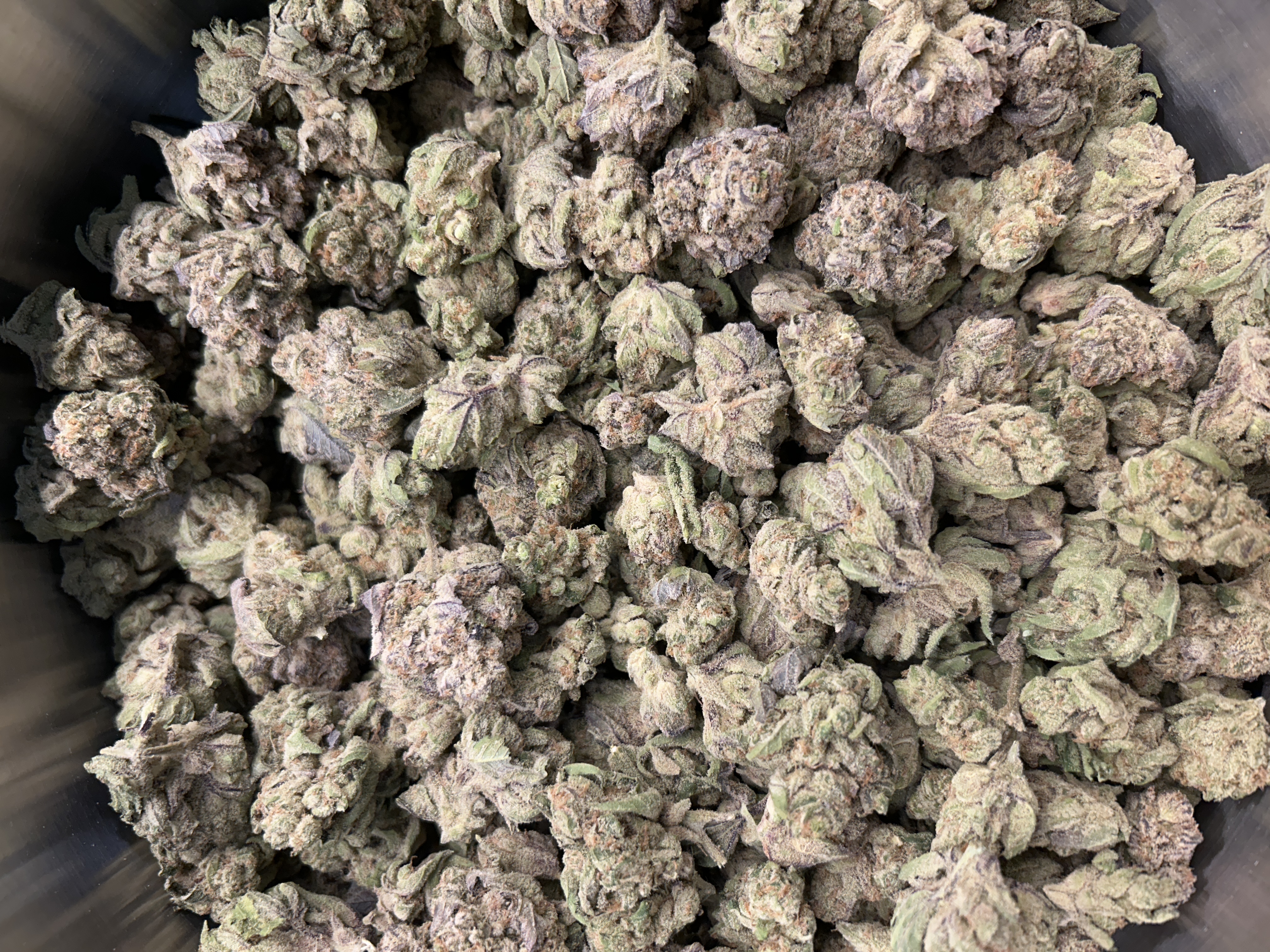 Berkshire Roots | Hella Jelly | Buds | 1.6% Terps (1g) product photo