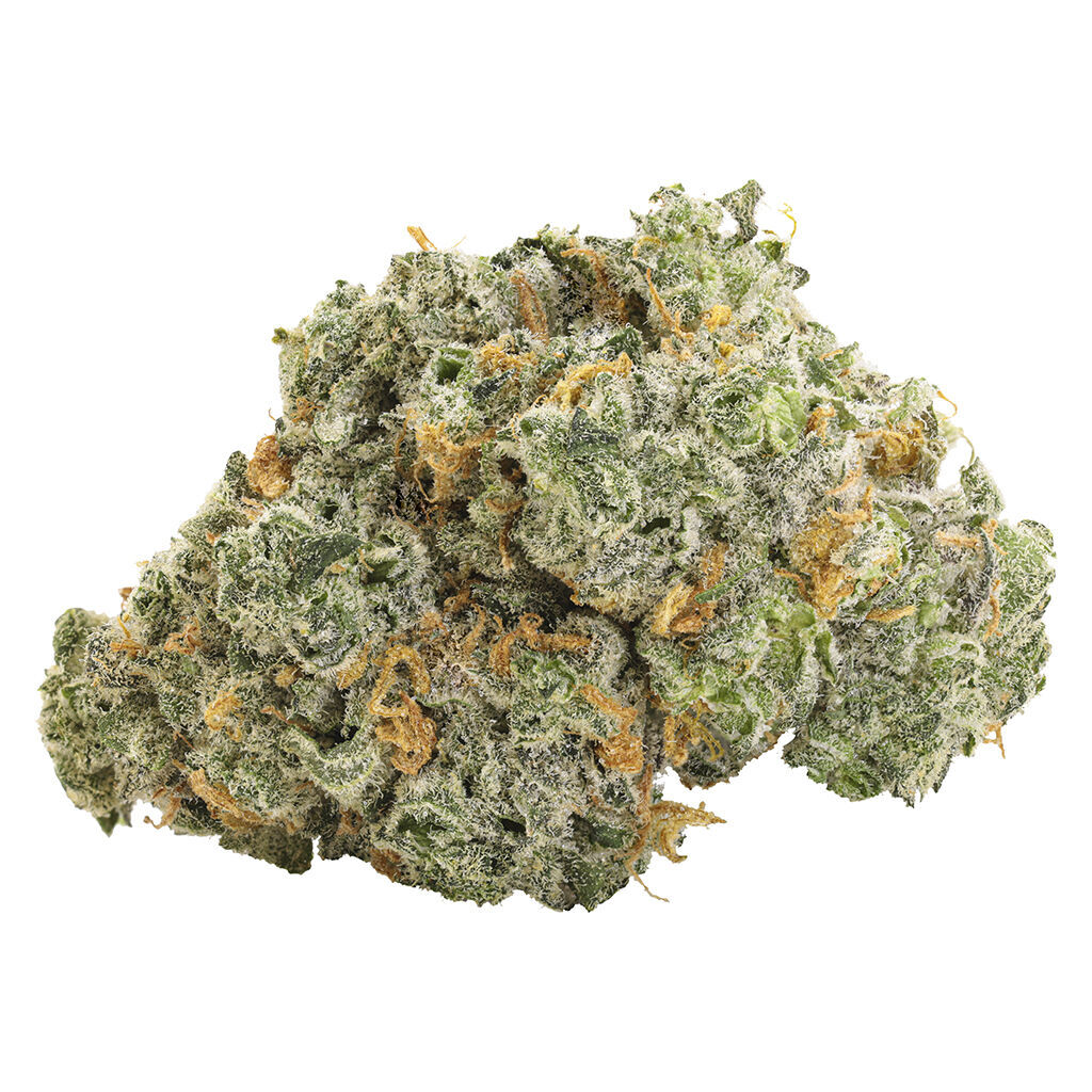 Big Bag O' Buds - Blueberry Dream (Blueberry Kush x Blue Dream) - Sativa