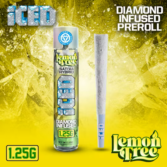 Iced - Lemon Tree - 1.25G Infused Preroll