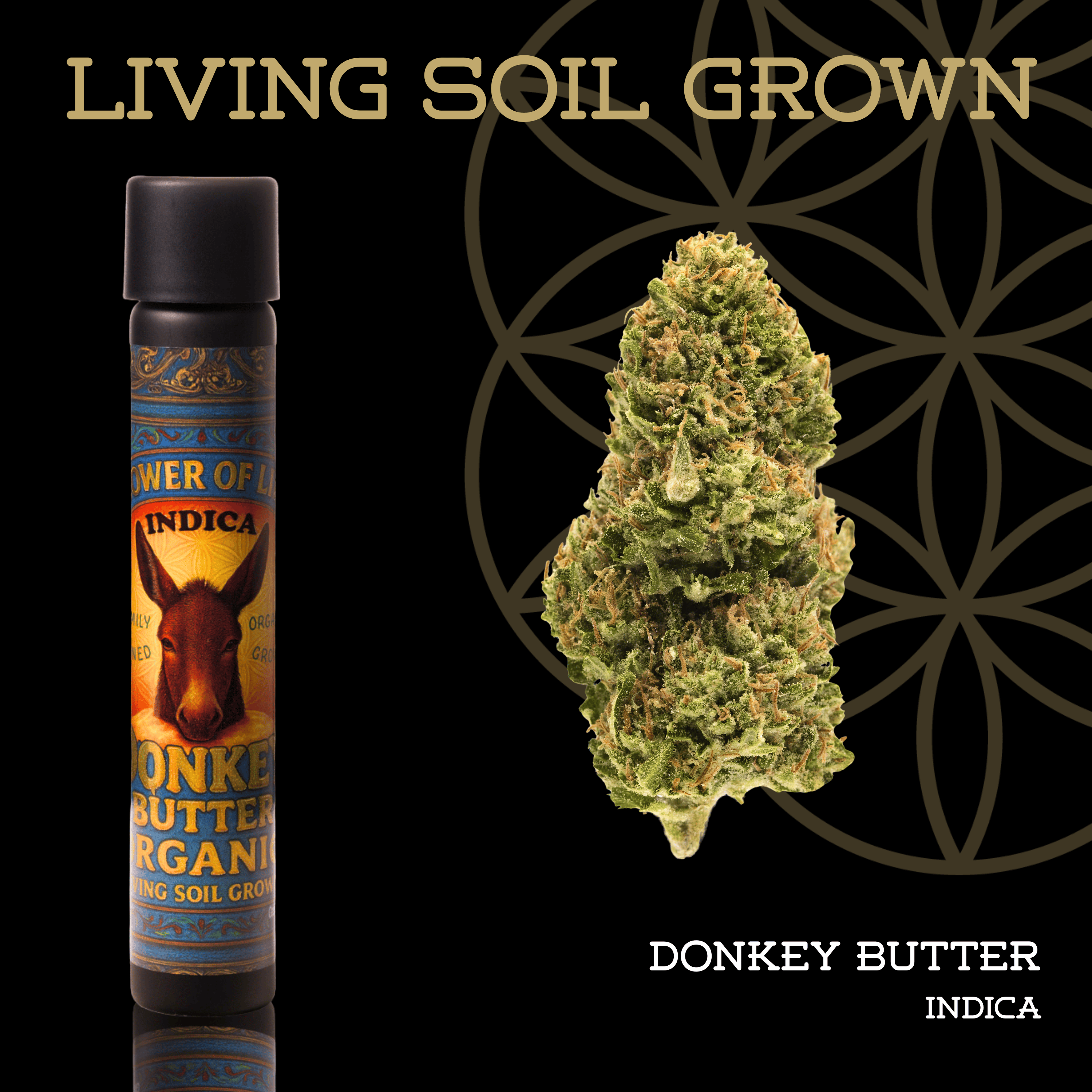 Flower of Life | Living Soil | Donkey Butter | Pre-Roll | 1g