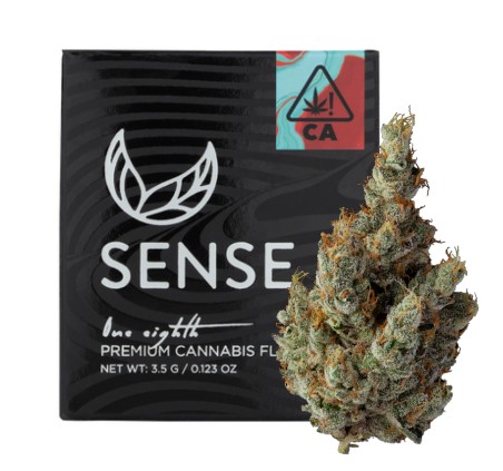 Sense | GMO