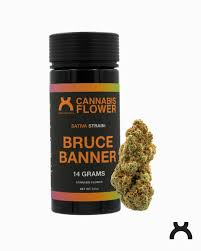 Bruce Banner