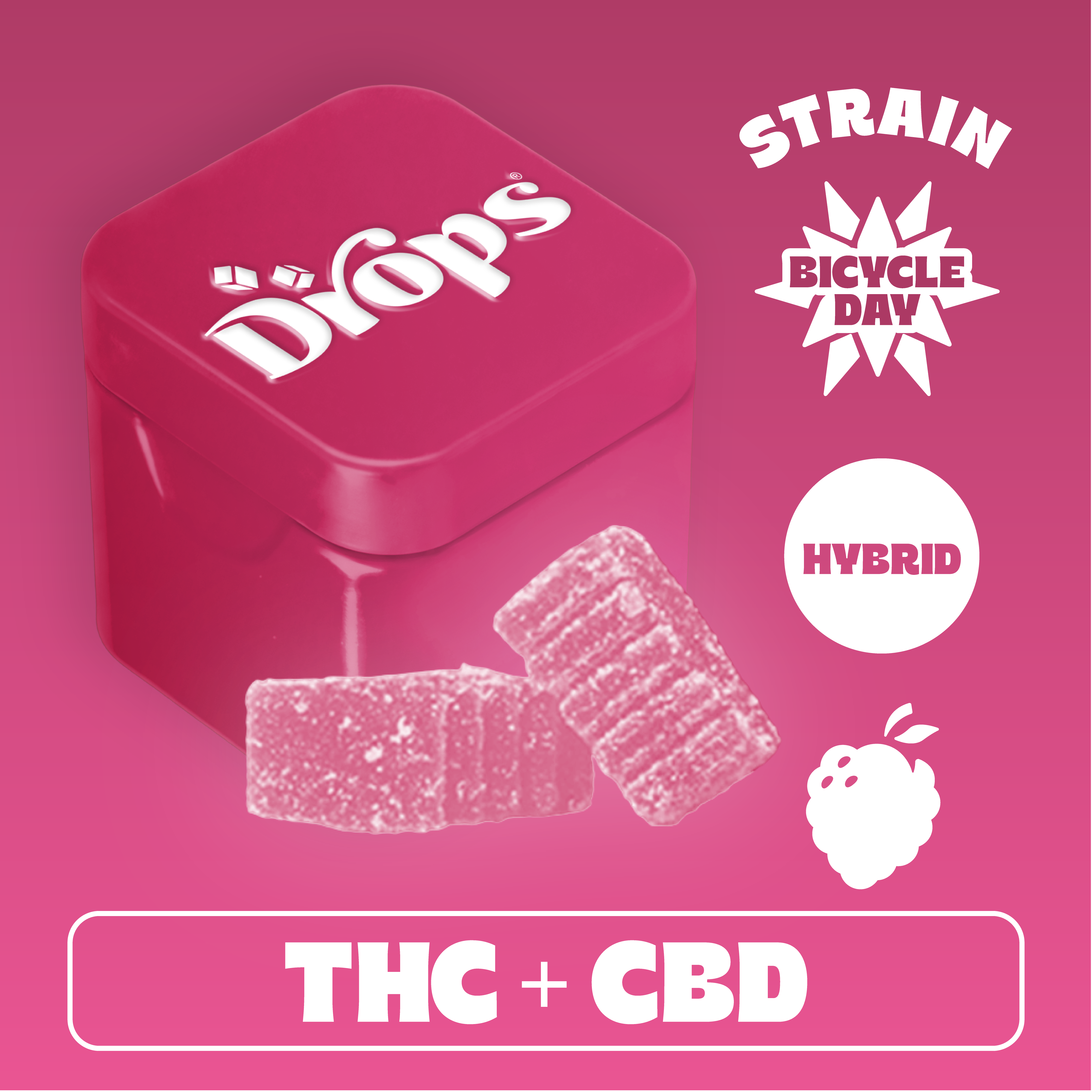 Raspberry | Bicycle Day Rosin Jellies | 2pk | 100mg
